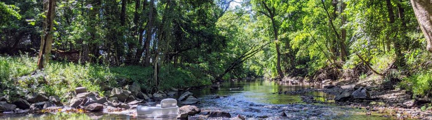 Gwynns Falls Stream Valley Park