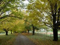 Center for Maryland Agriculture and Farm Park