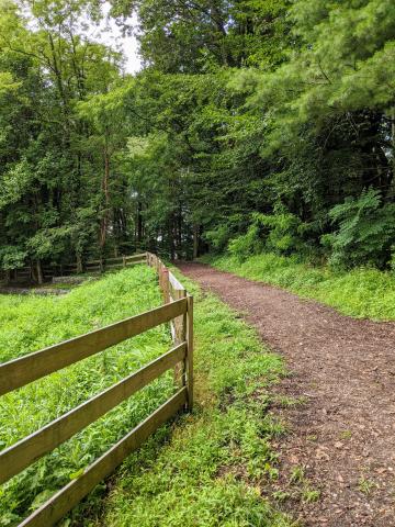 Catonsville Community Park