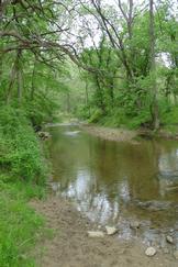 View of the stream at Sparks Park